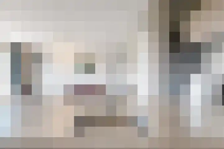 De Melksuiker 30 Uitgeest thumbnail 12