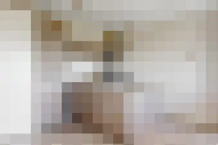 De Melksuiker 30 Uitgeest thumbnail 13