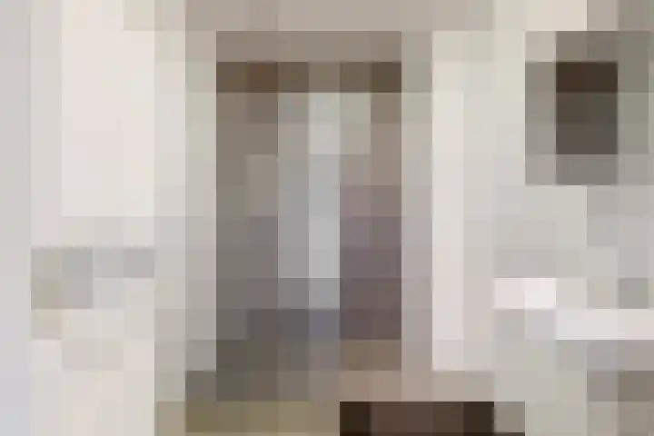 De Melksuiker 30 Uitgeest thumbnail 19