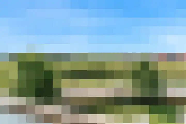 De Melksuiker 30 Uitgeest thumbnail 22