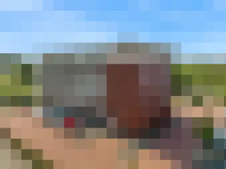 De Melksuiker 30 Uitgeest thumbnail 23