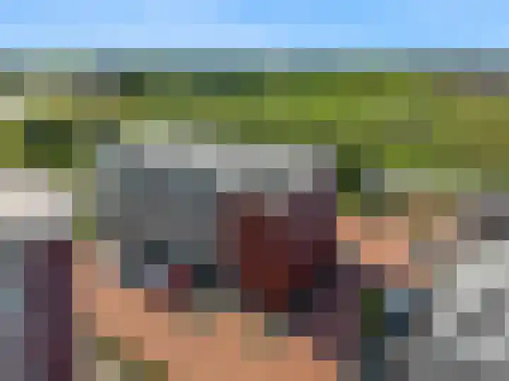 De Melksuiker 30 Uitgeest thumbnail 24