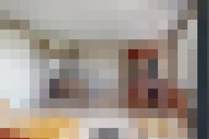 De Melksuiker 30 Uitgeest thumbnail 6
