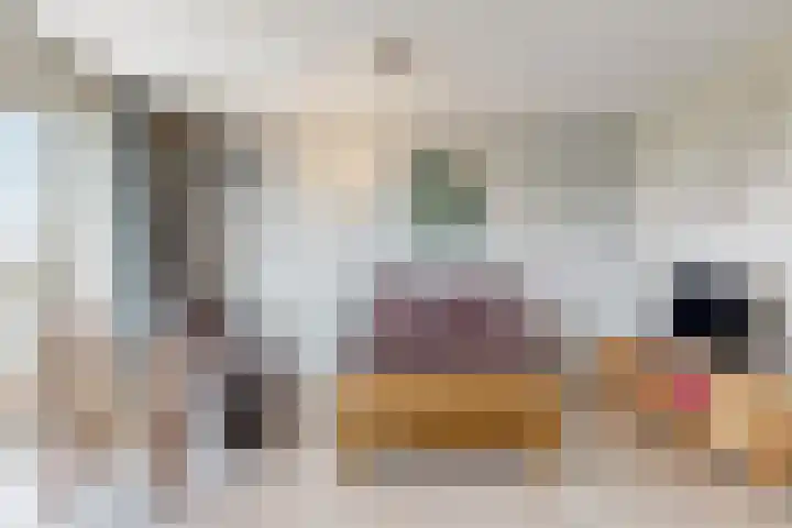 De Melksuiker 30 Uitgeest thumbnail 8