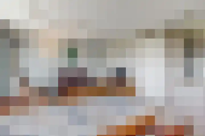 De Melksuiker 30 Uitgeest thumbnail 9