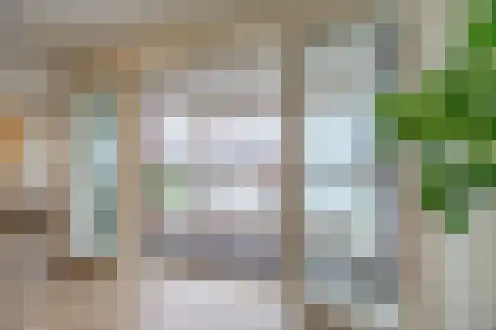 De Melksuiker 58 Uitgeest thumbnail 11