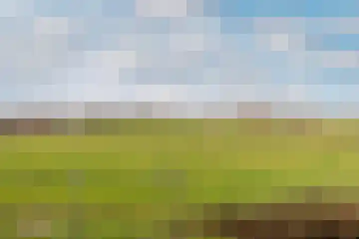 De Melksuiker 58 Uitgeest thumbnail 14