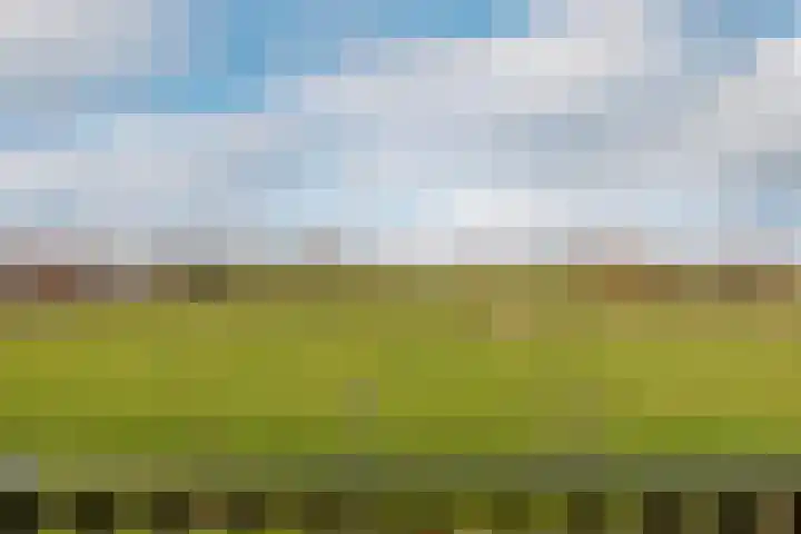 De Melksuiker 58 Uitgeest thumbnail 19