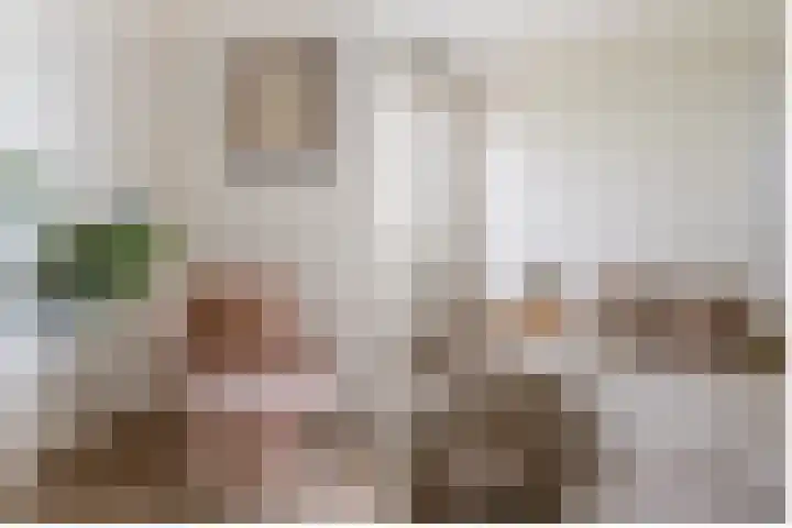 De Melksuiker 58 Uitgeest thumbnail 21