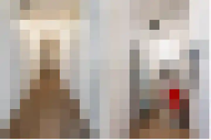 De Melksuiker 58 Uitgeest thumbnail 30