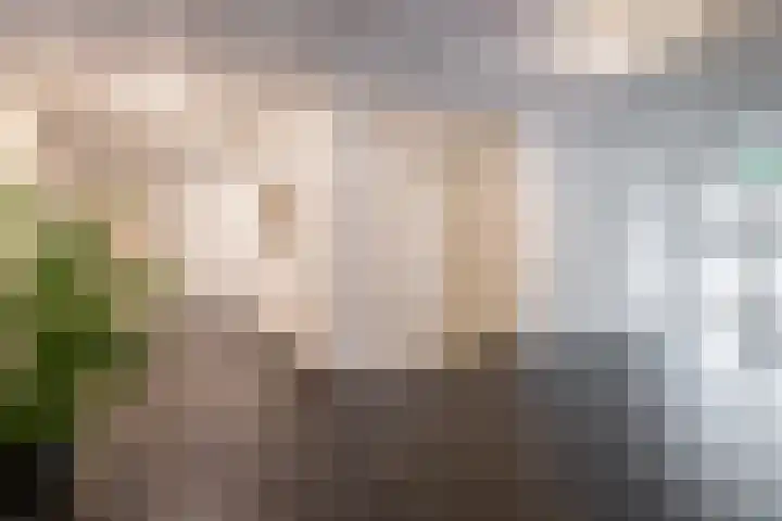De Melksuiker 58 Uitgeest thumbnail 33