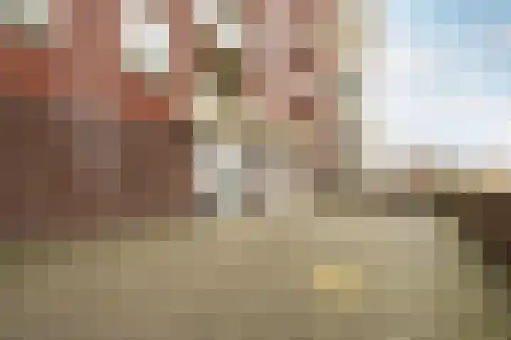 De Melksuiker 58 Uitgeest thumbnail 34