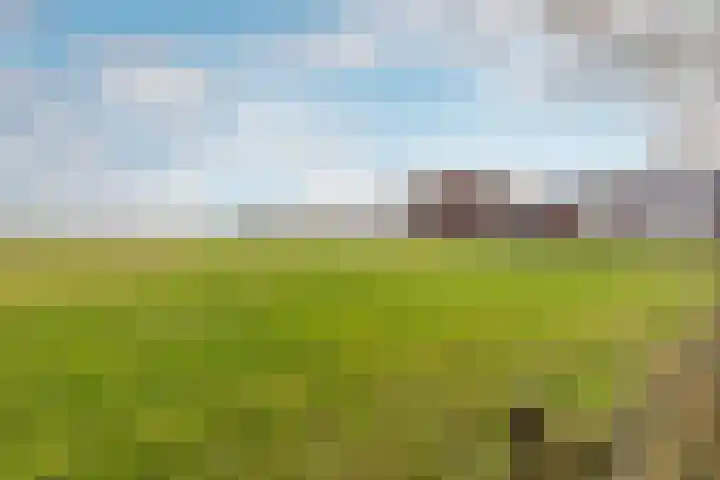 De Melksuiker 58 Uitgeest thumbnail 36