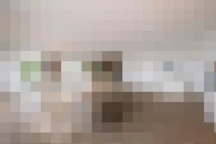 De Melksuiker 58 Uitgeest thumbnail 4