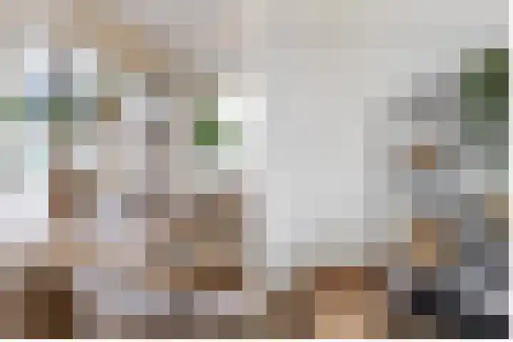 De Melksuiker 58 Uitgeest thumbnail 5