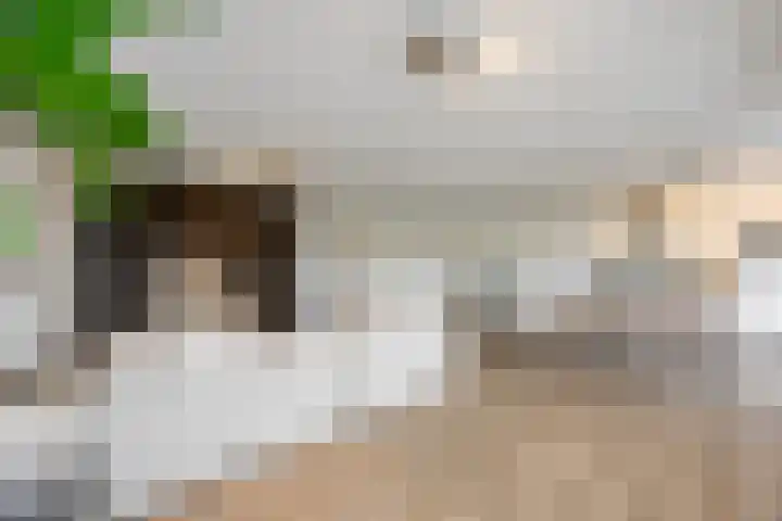 De Melksuiker 58 Uitgeest thumbnail 7