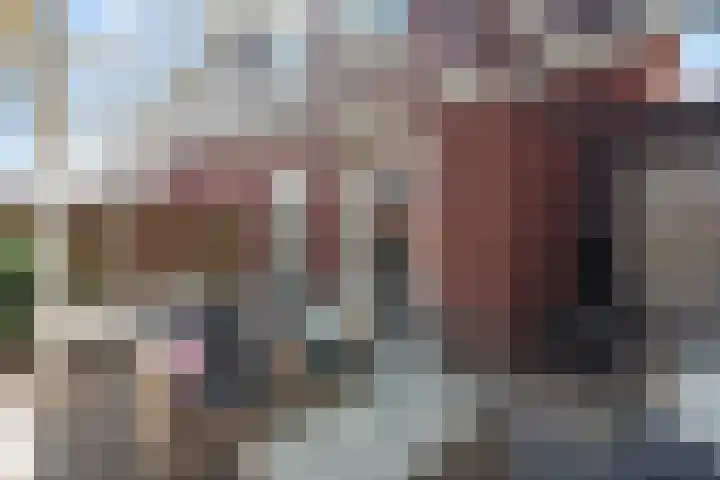 De Melksuiker 59 Uitgeest thumbnail 11