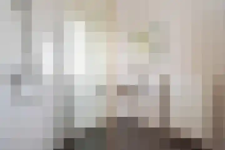 De Melksuiker 59 Uitgeest thumbnail 23