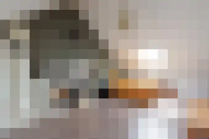 De Melksuiker 59 Uitgeest thumbnail 28