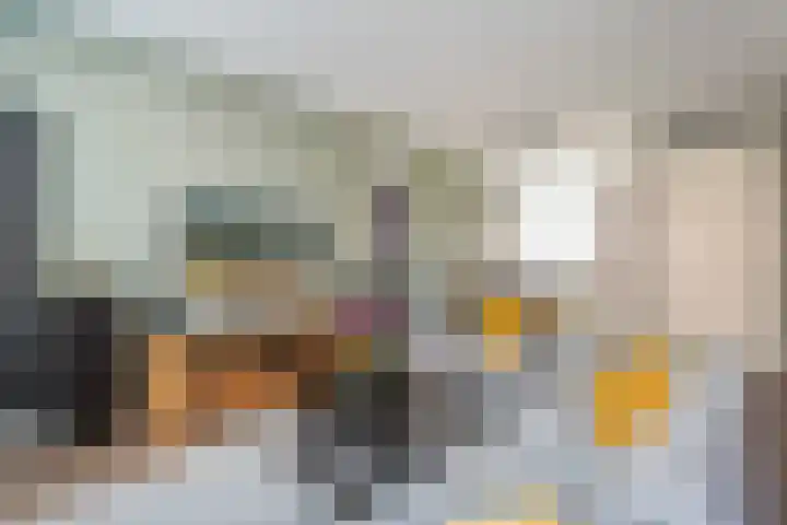 De Melksuiker 59 Uitgeest thumbnail 7