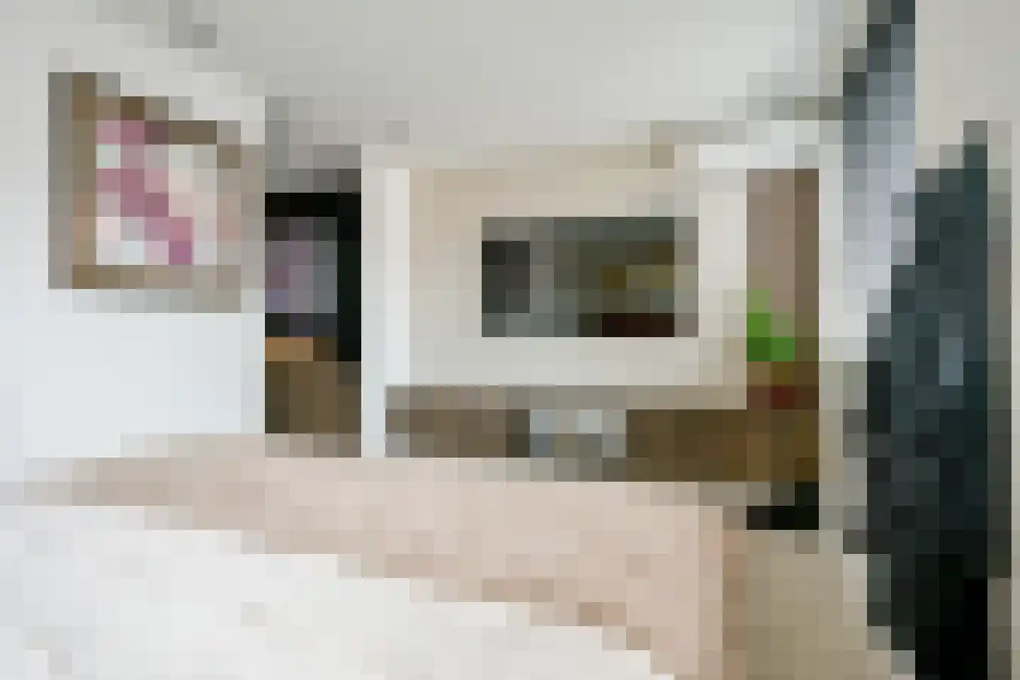 De Melksuiker 73 Uitgeest thumbnail 11