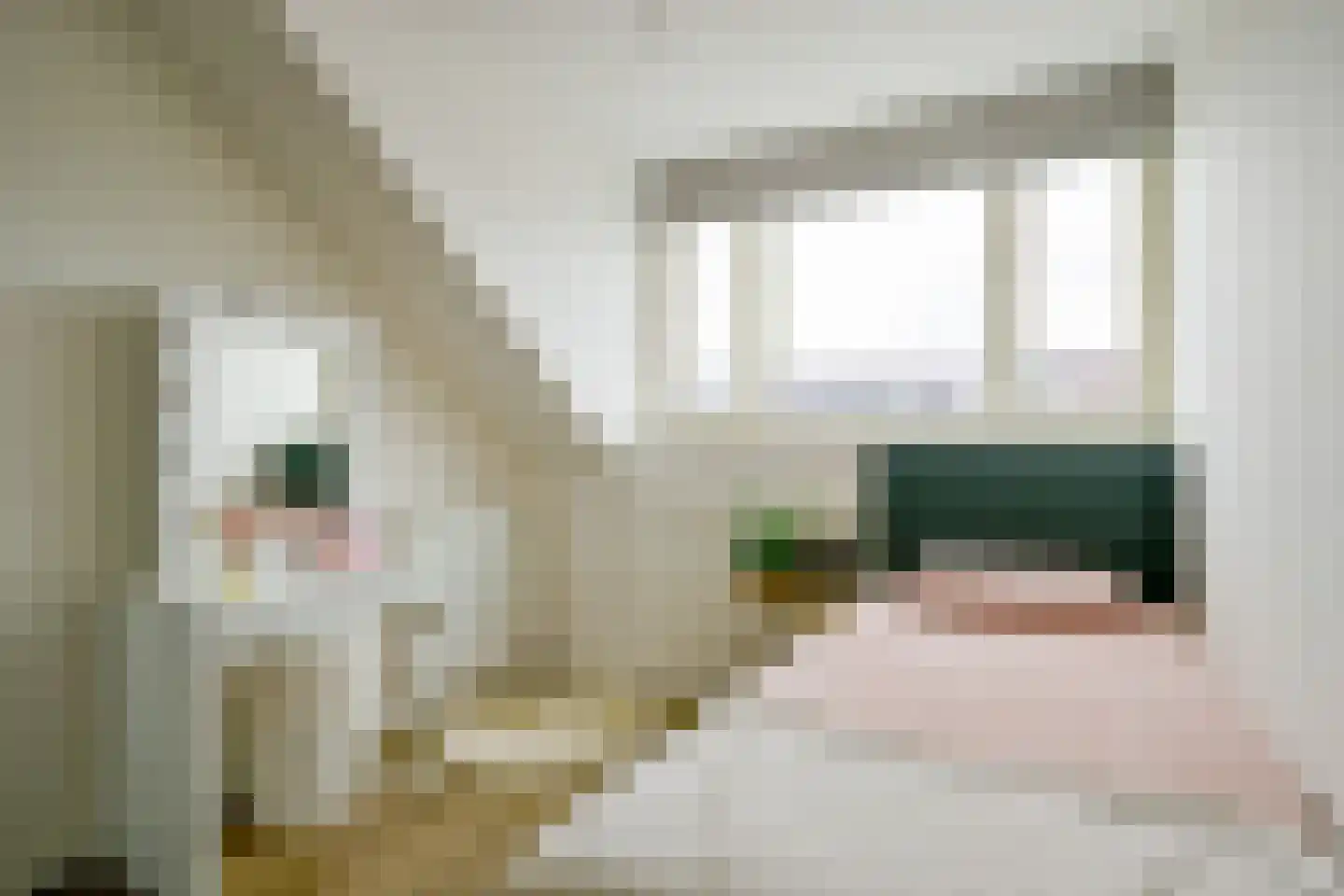 De Melksuiker 73 Uitgeest thumbnail 19