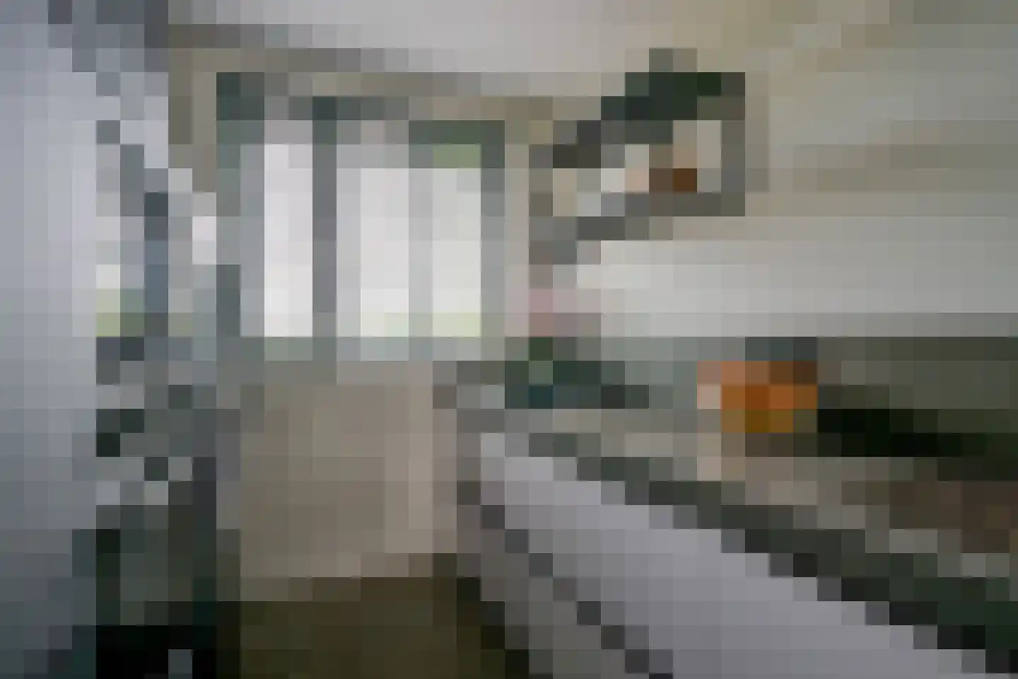 De Melksuiker 73 Uitgeest thumbnail 7