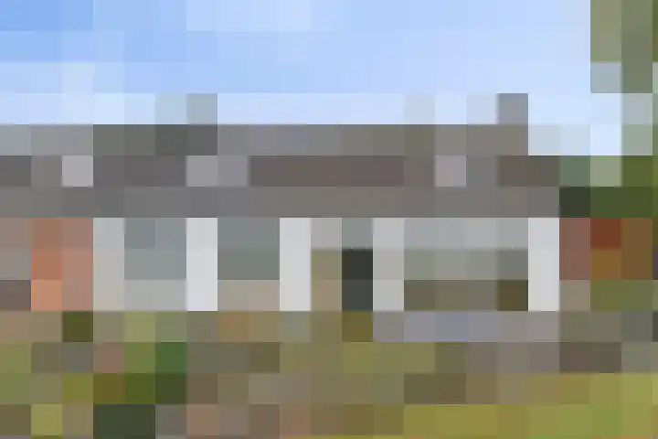 de Mère 5 en Halsteren