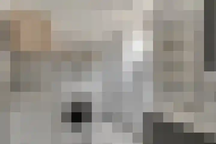 de Mère 5 Halsteren thumbnail 17