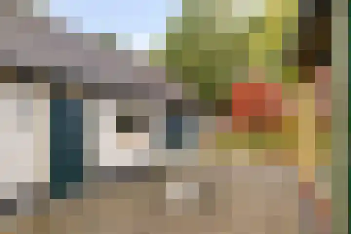 de Mère 5 Halsteren thumbnail 26