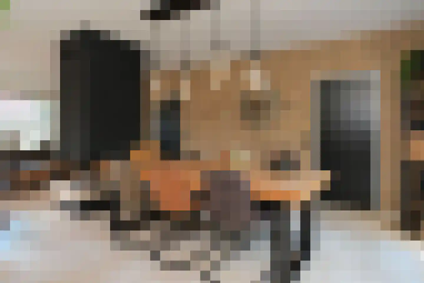 De Merel 1 Vriezenveen thumbnail 10