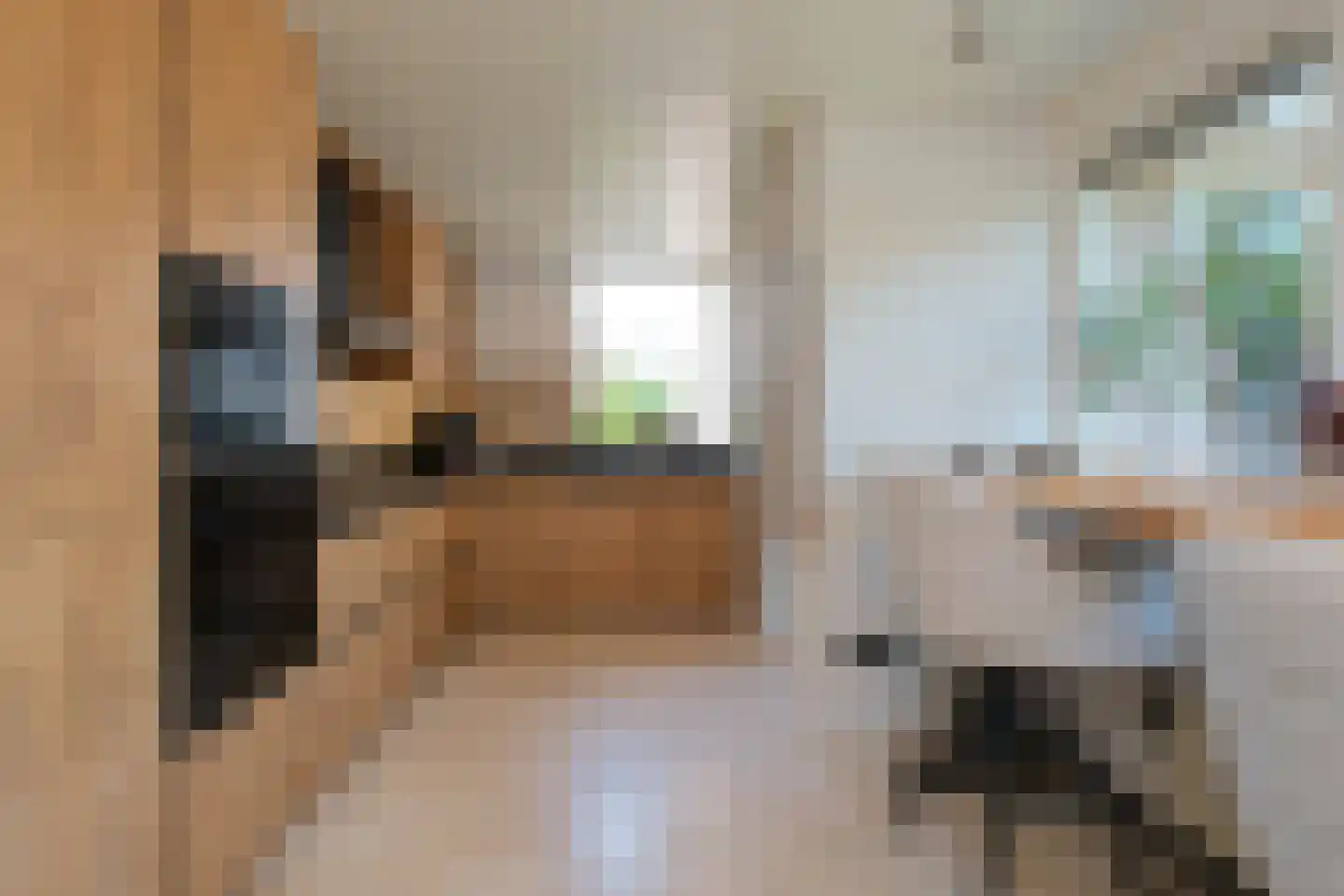 De Merel 1 Vriezenveen thumbnail 11