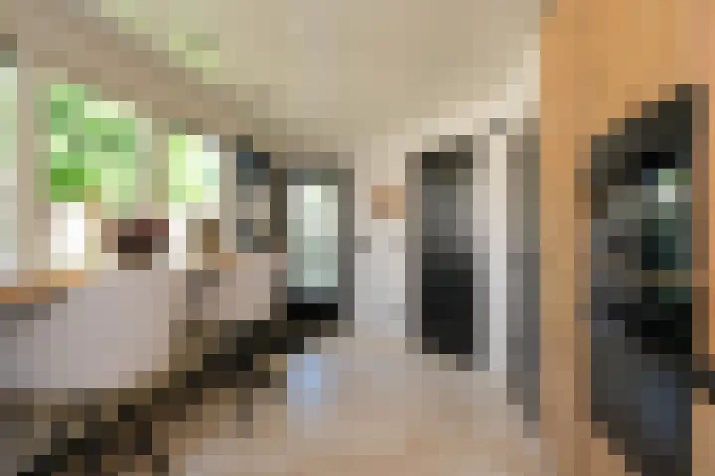 De Merel 1 Vriezenveen thumbnail 13