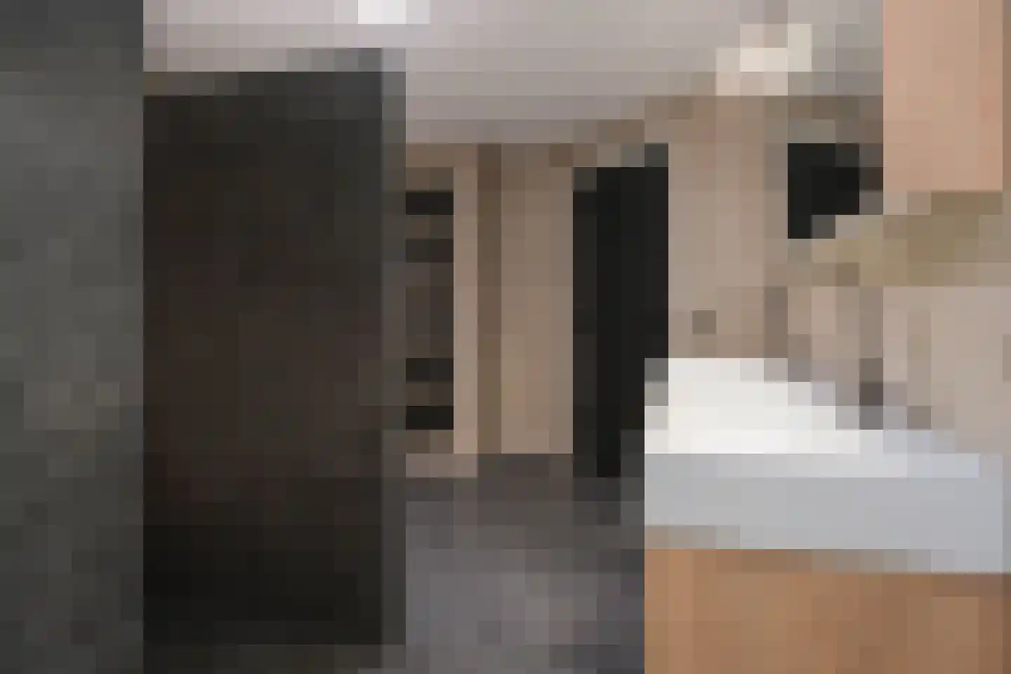 De Merel 1 Vriezenveen thumbnail 19