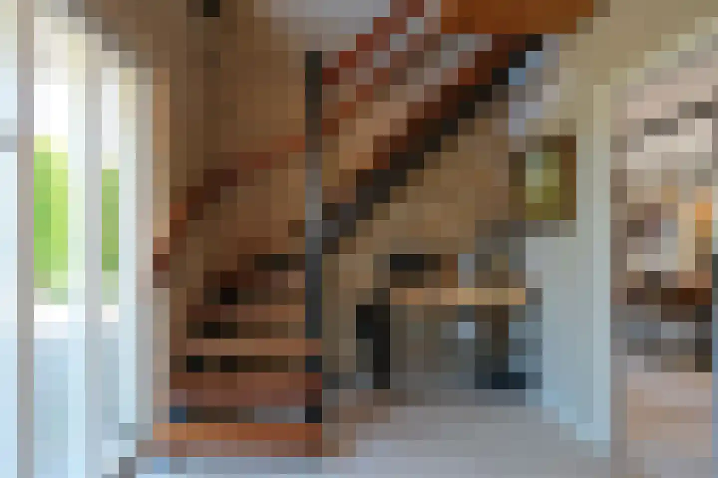 De Merel 1 Vriezenveen thumbnail 23