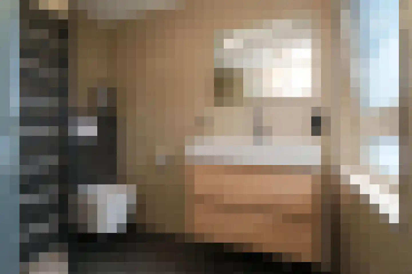 De Merel 1 Vriezenveen thumbnail 31