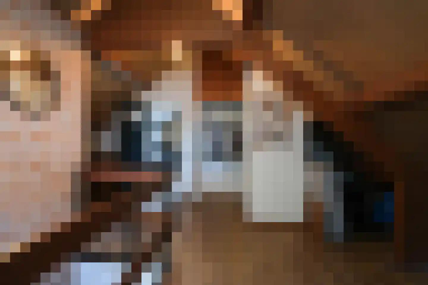 De Merel 1 Vriezenveen thumbnail 34