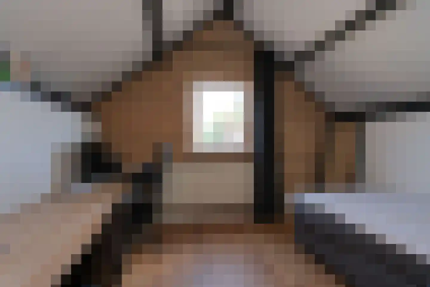 De Merel 1 Vriezenveen thumbnail 35