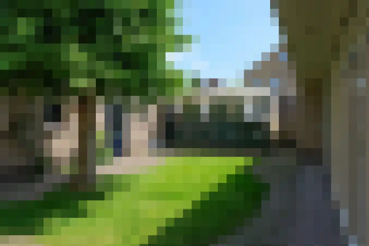 De Merel 1 Vriezenveen thumbnail 37