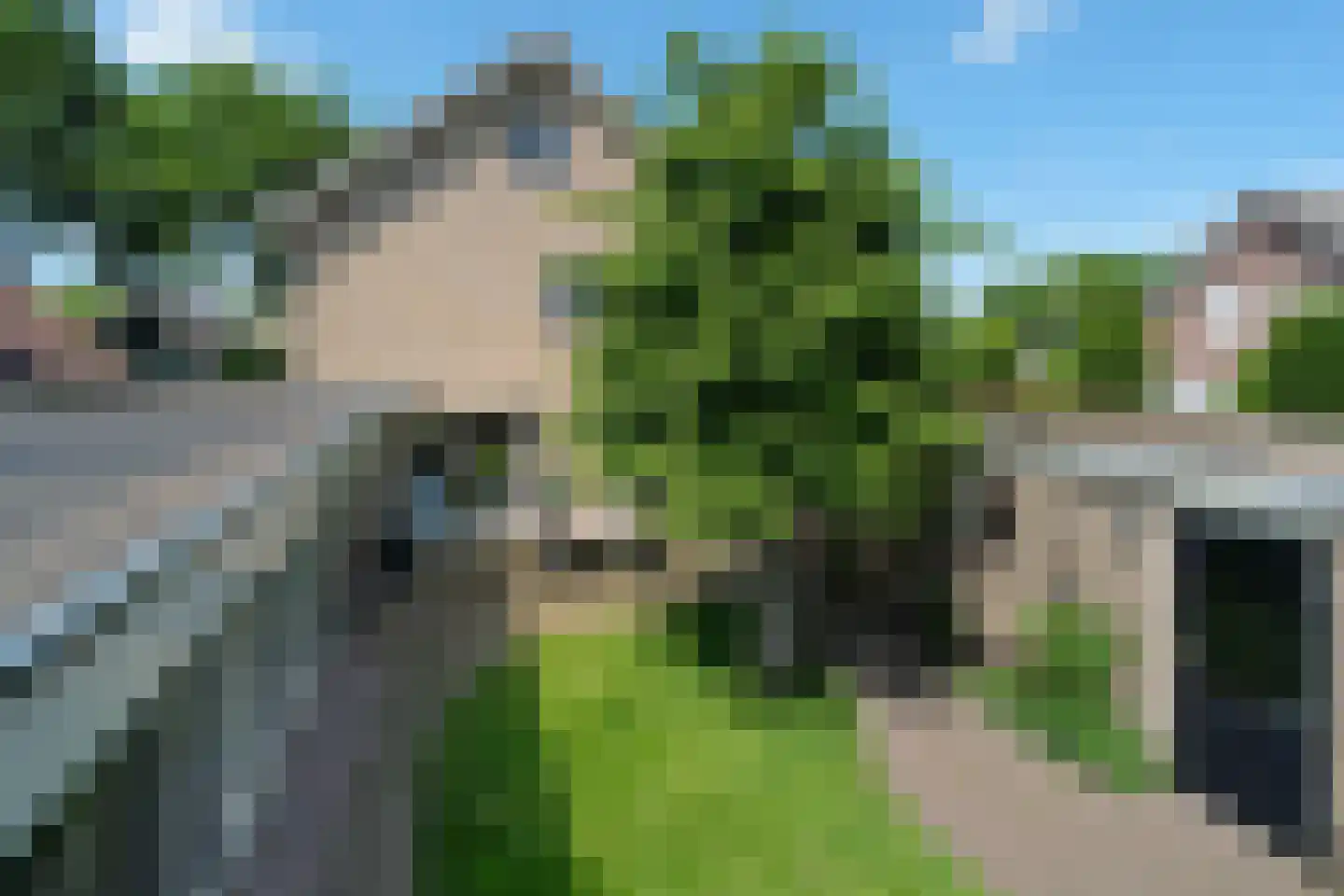 De Merel 1 Vriezenveen thumbnail 39