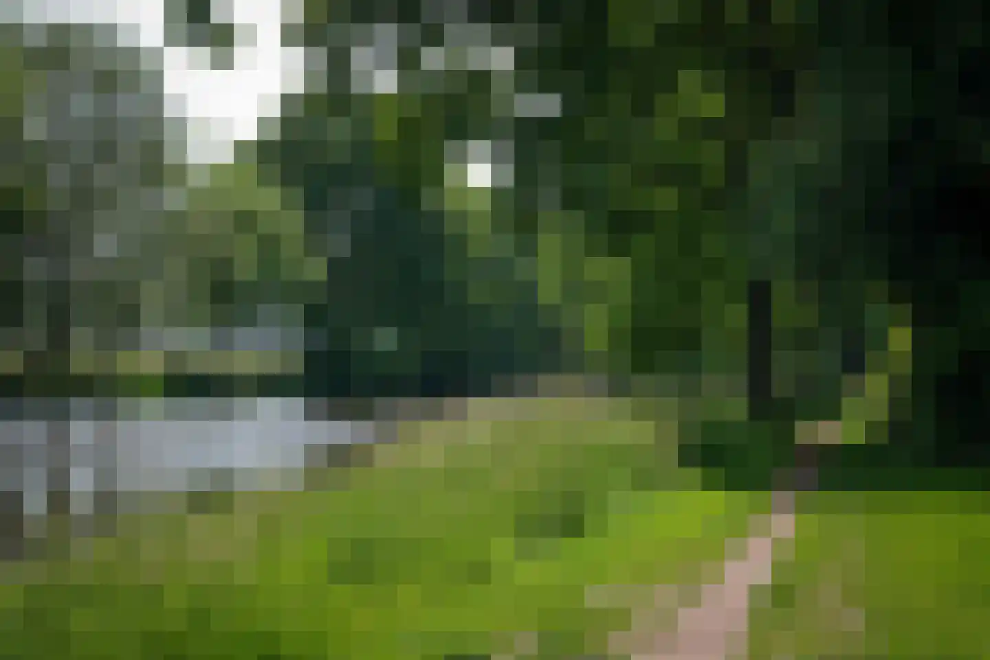 De Merel 1 Vriezenveen thumbnail 40