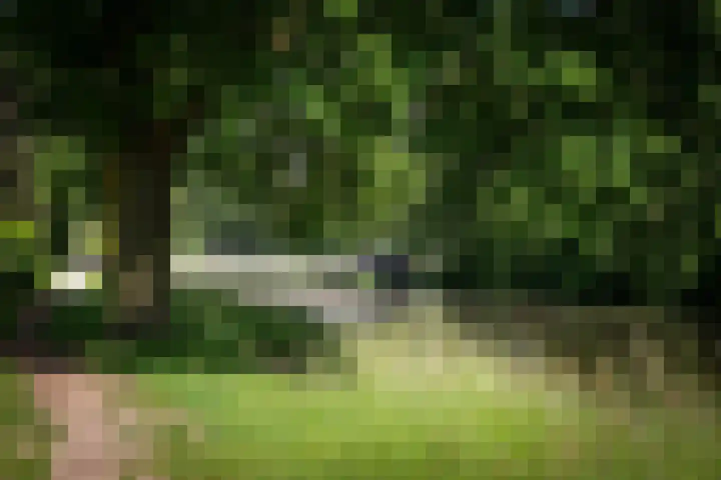 De Merel 1 Vriezenveen thumbnail 41