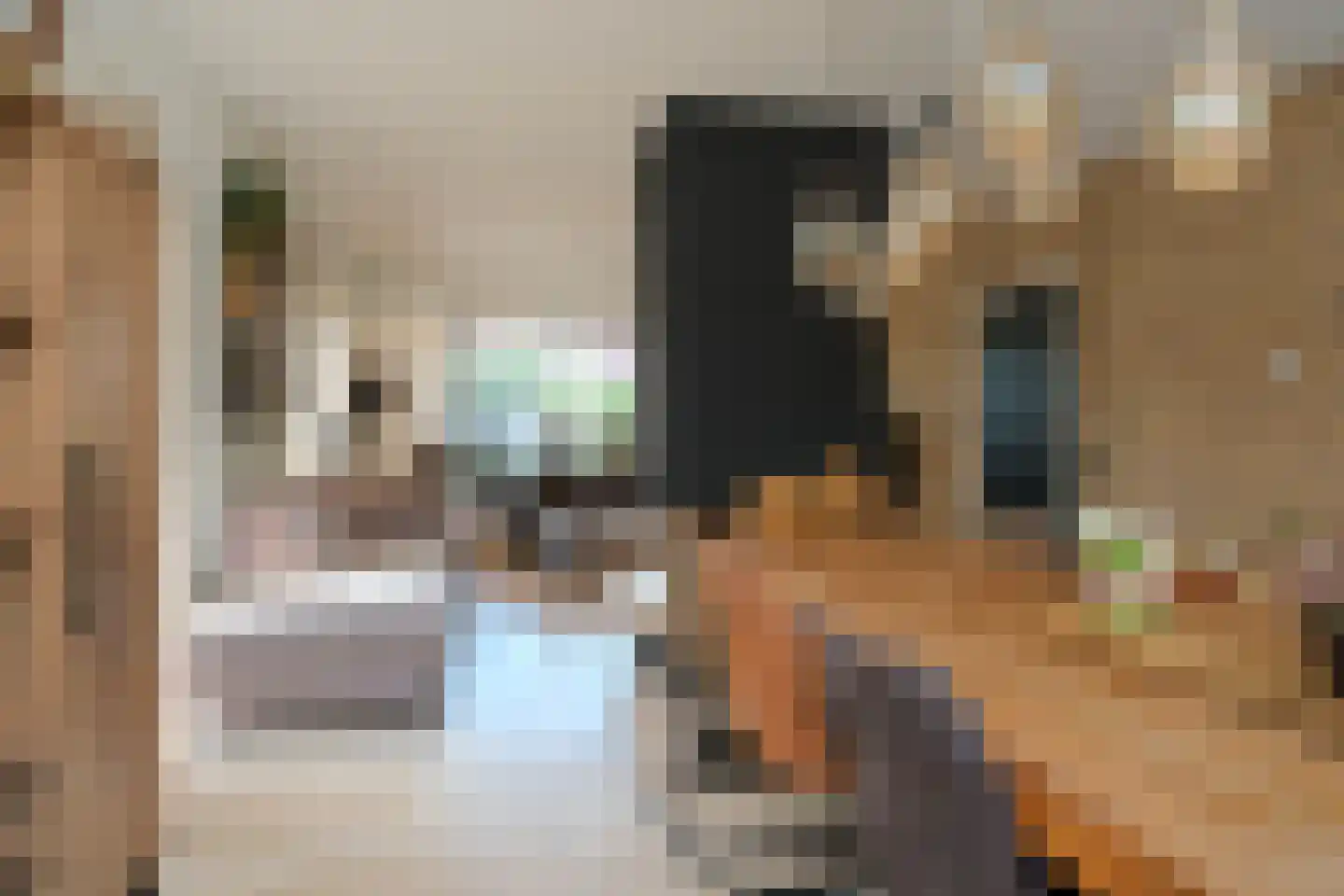De Merel 1 Vriezenveen thumbnail 8