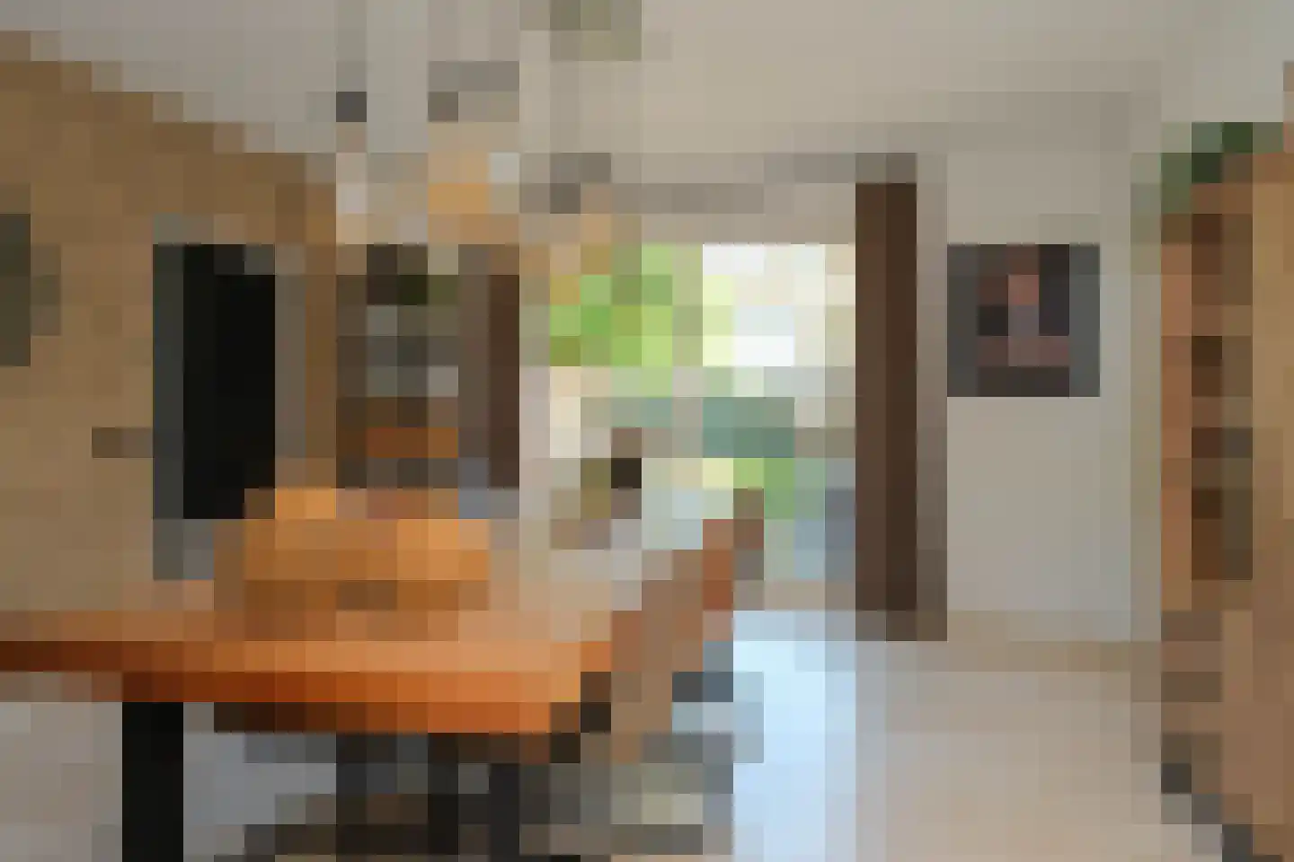 De Merel 1 Vriezenveen thumbnail 9