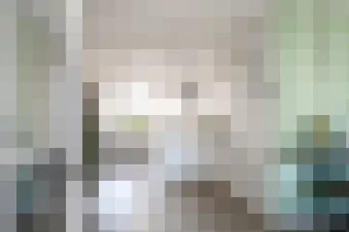 De Merel 14 Almelo thumbnail 12