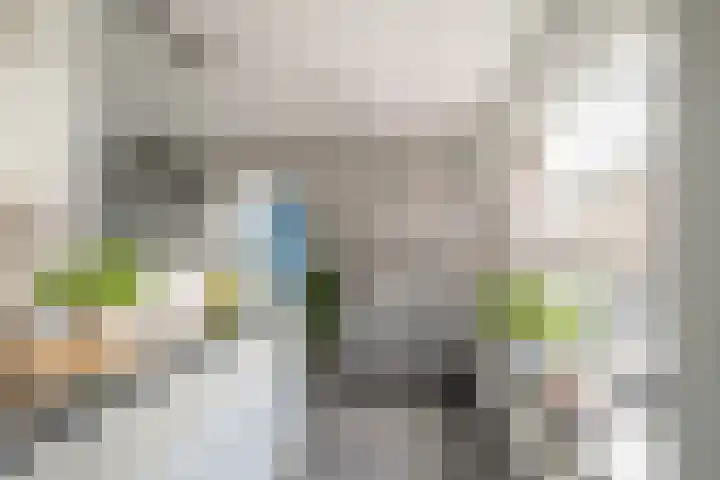 De Merel 14 Almelo thumbnail 17