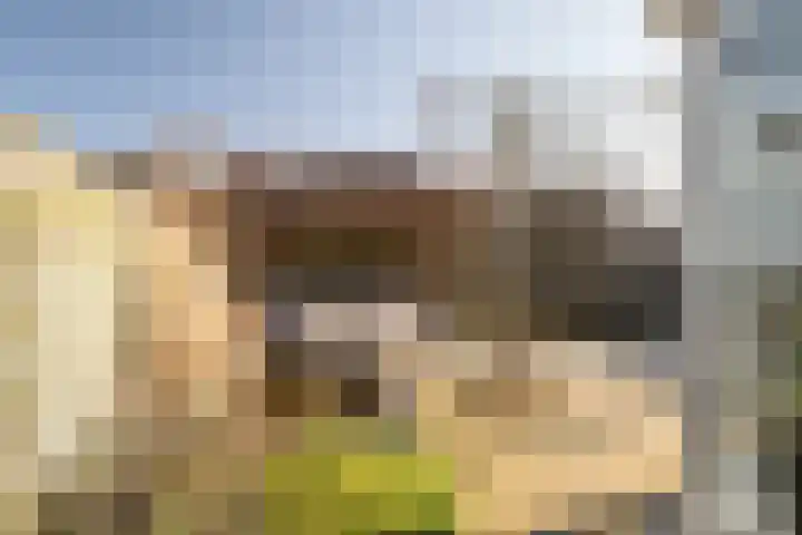 De Merel 14 Almelo thumbnail 35