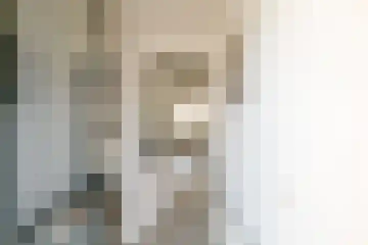 De Merel 14 Almelo thumbnail 8