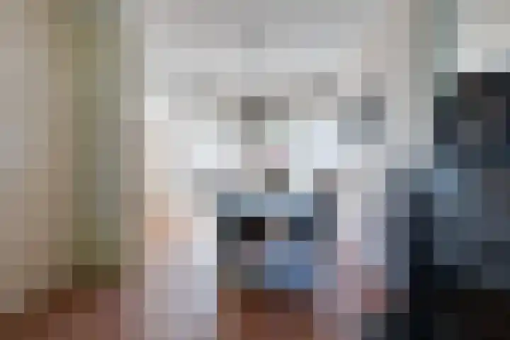 De Merel 17 Surhuisterveen thumbnail 12