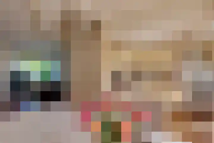 De Merel 17 Surhuisterveen thumbnail 14